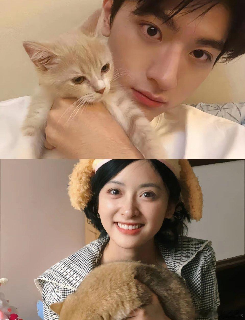 在猫猫的助攻下每一张几乎都是可以当情侣头像的程度豹豹猫猫给我冲！！！林一 沈月‖