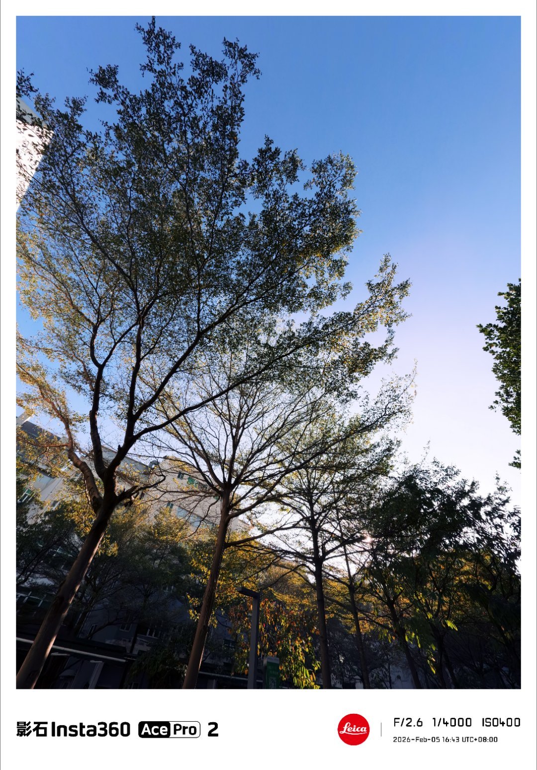 多家车企公布2月交付量春节假期环比下滑也是正常的，有两三万台销量的自主品牌也不少