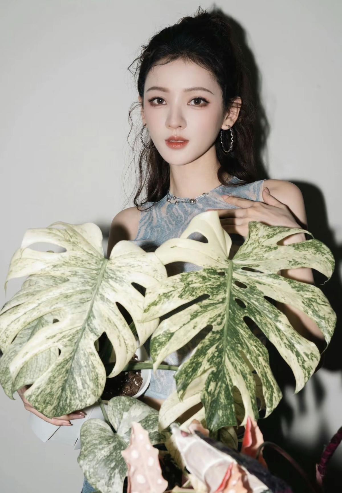  张予曦与绿植氛围感大片 | 清冷美人与白锦龟背竹的适配度拉满，每一片叶子都在为