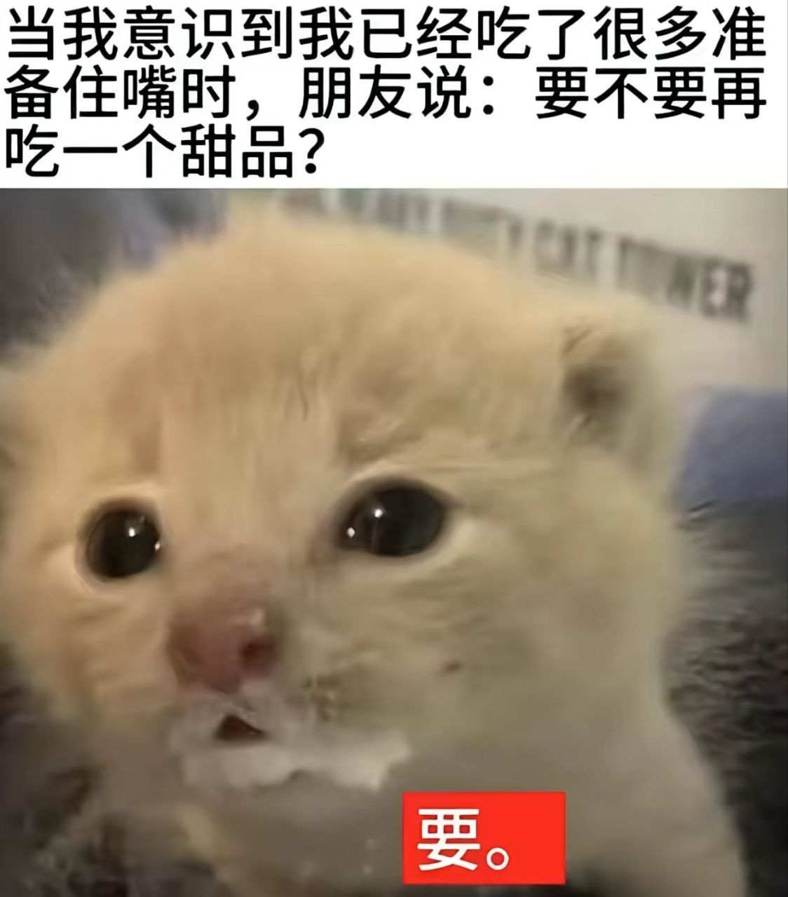 要 