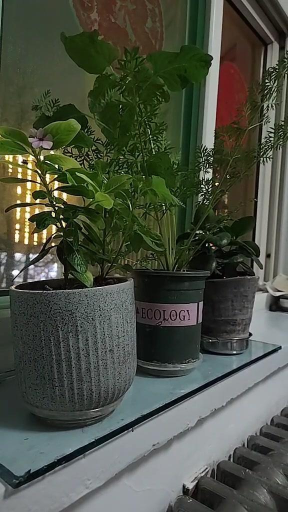 最近我周边邻居就发生了这么一件事：女方要了男方30多万的彩礼，领了结婚证却不去男