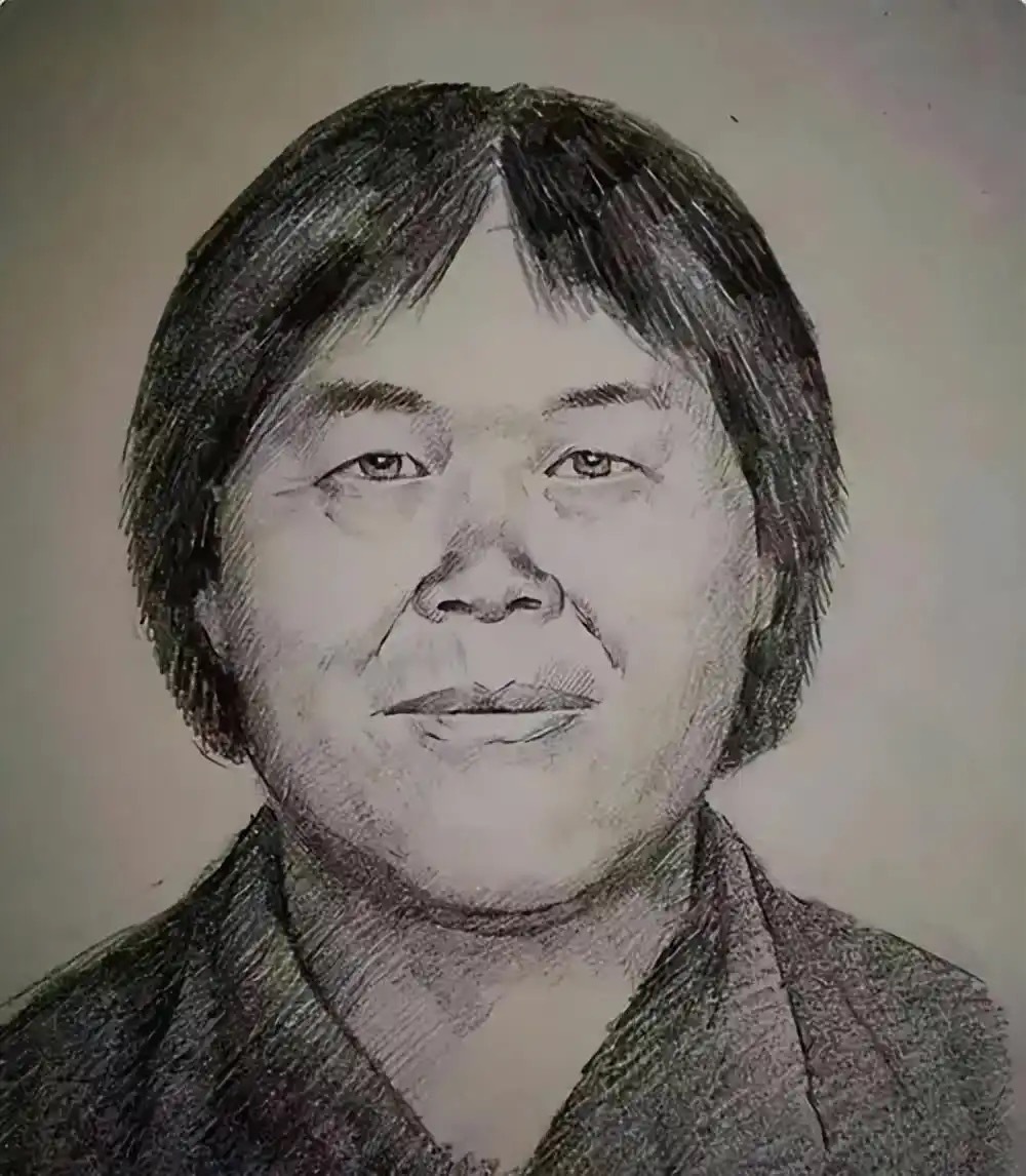 2017年公开通缉9年了，梅姨终于落网了只有两张模拟画像，而且她长得确实没啥特点