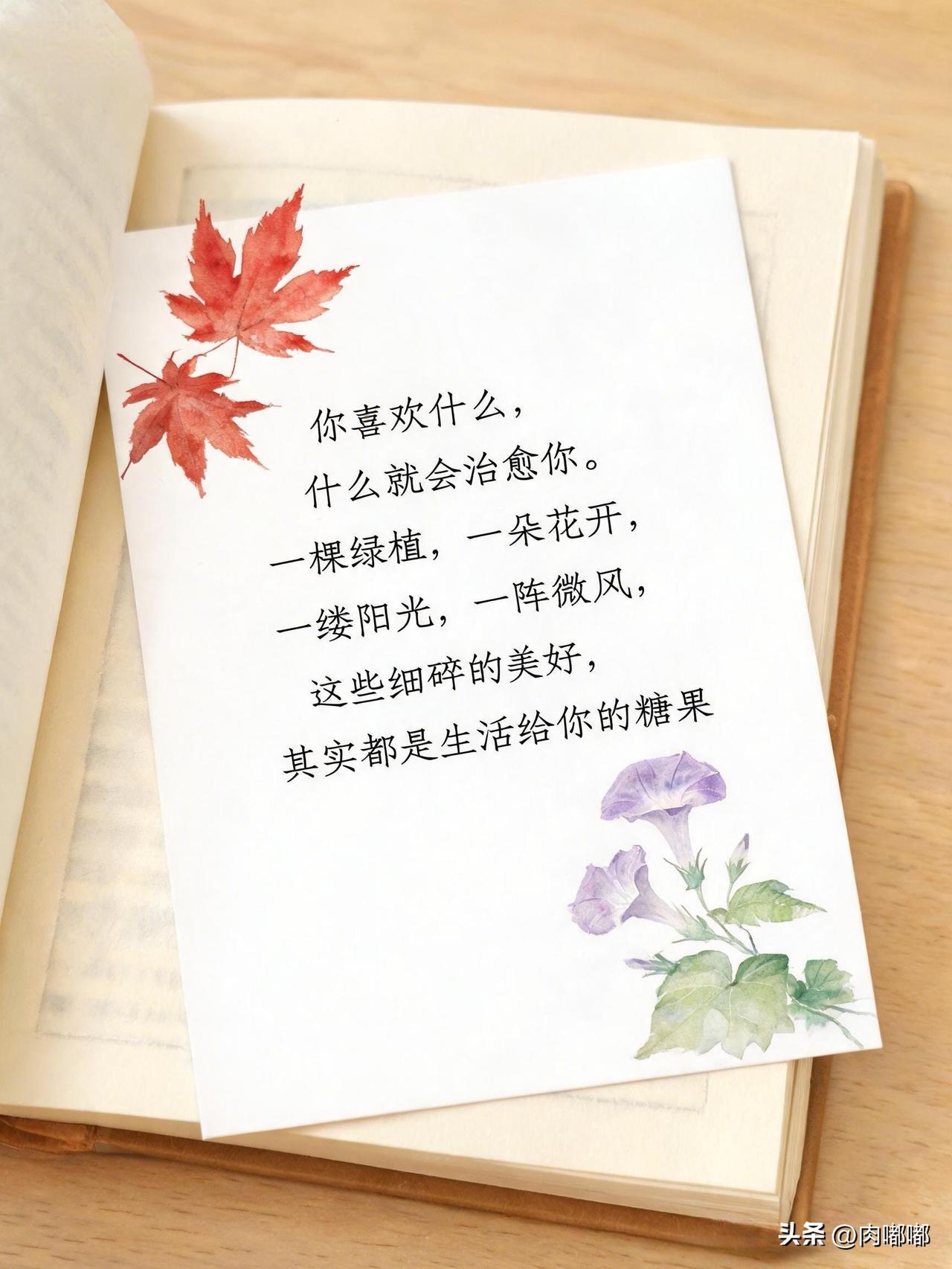 你喜欢什么，什么就会治愈你。[祈祷]它就藏在日子里，小小的一点偏好，往往就是最管