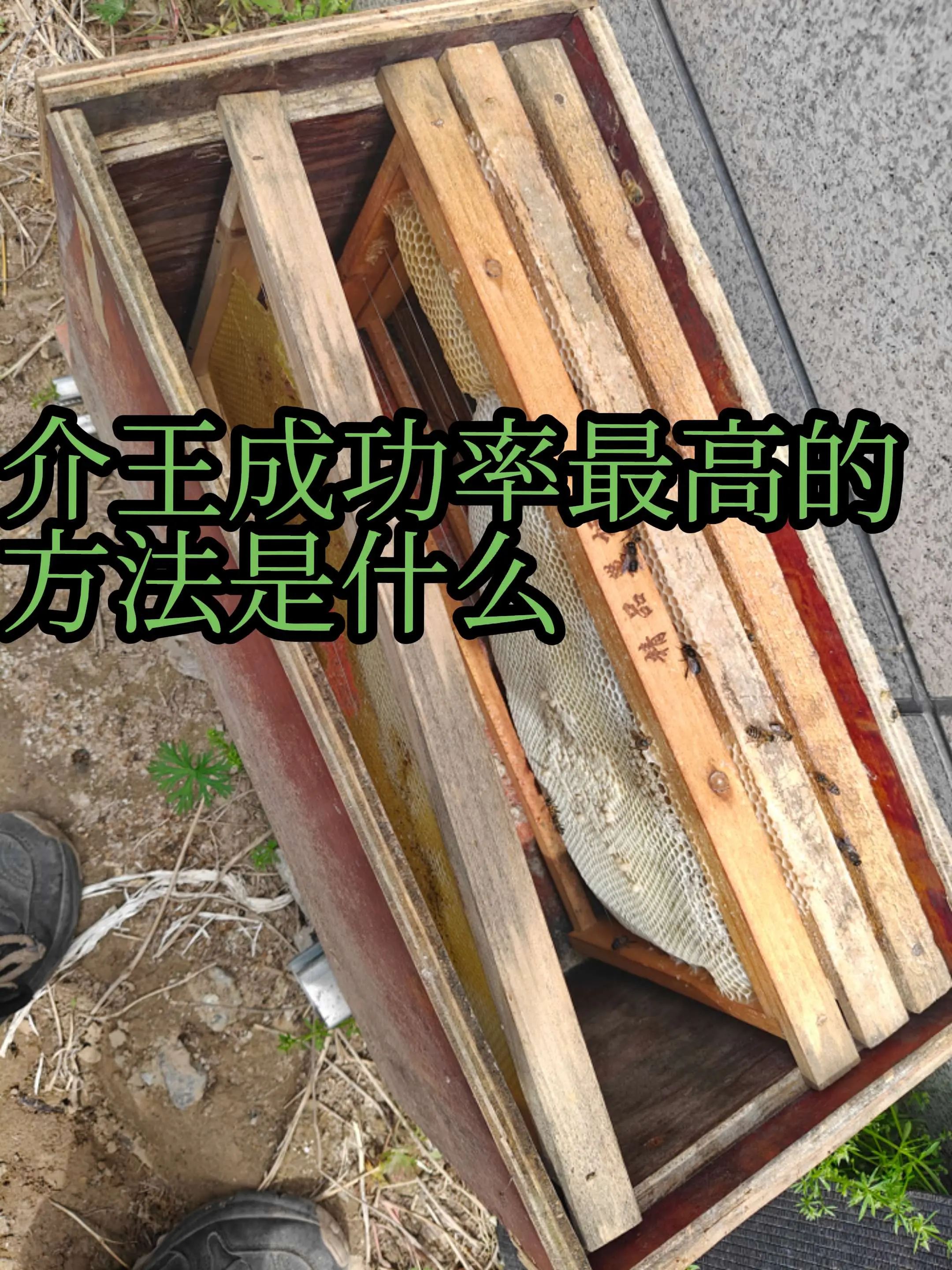 介王成功率最高的方法是什么