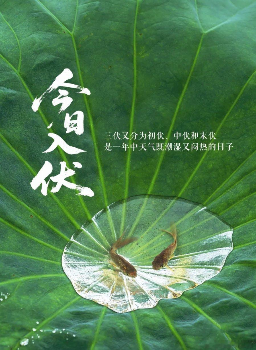 今日入伏 今天迎来初伏，也是入伏第1天 ，一年里闷热潮湿的四十天三伏天就此拉开序