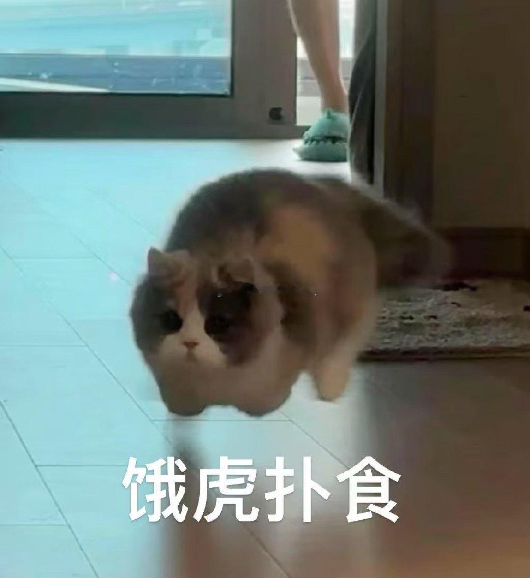 中午吃茼蒿菜饭外加🐺卤的鸡腿又是减脂美味的一餐狼兔恋爱碎碎念