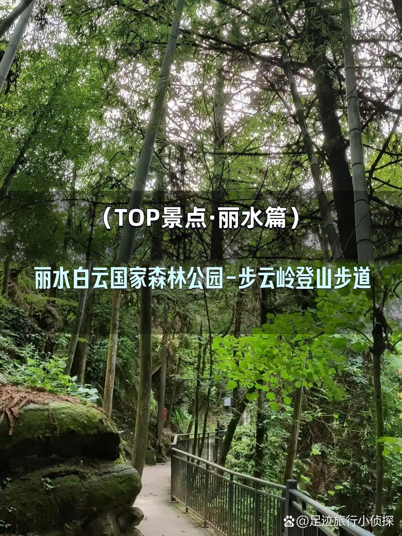 丽水白云国家森林公园步云岭全攻略

想避开人潮拥抱自然？这条藏在浙南的宝藏登山步