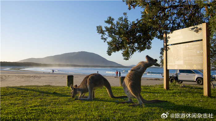 新南威尔士州（NSW）这片位于澳大利亚东岸的多彩土地，不仅是壮丽风光的代名词，更