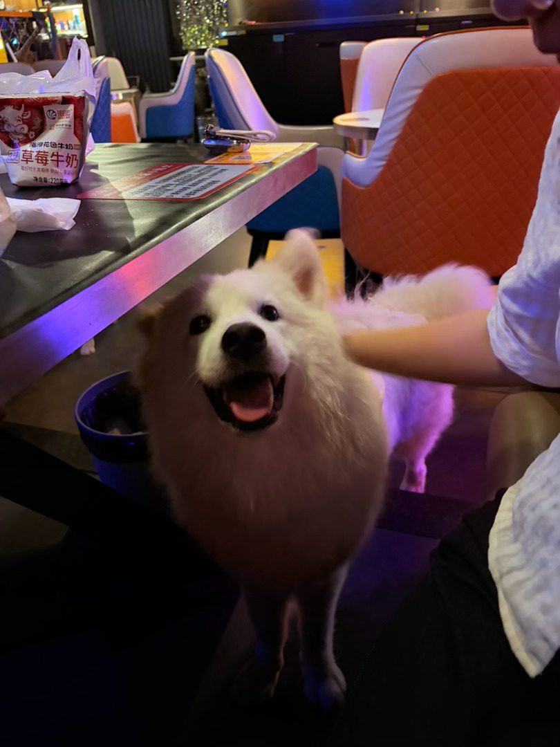 度嘟日常 微醺时刻🍹 