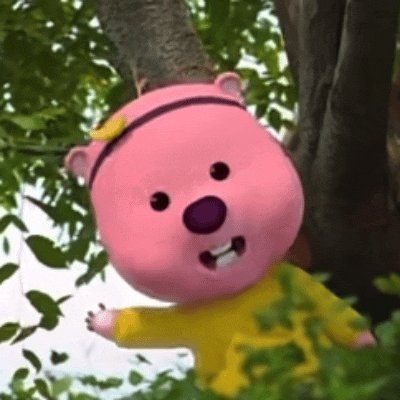 最实用的热门表情包 