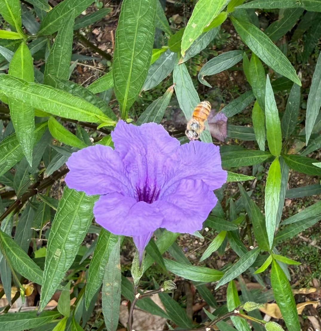 经济寒冬里，能稳住情绪的人，才熬得到春天
 
你是不是也有这种感觉？最近钱包紧了