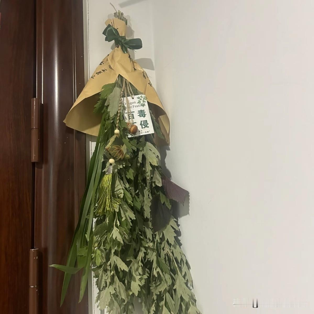 今天晚上，下班回家的路上，碰到了邻居张大姐

她怀里抱着好多艾草。正急匆匆忙忙的