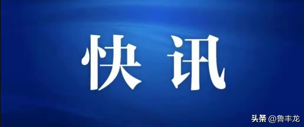 1. 国际关注度与争议性同步攀升

高市早苗因其极右翼立场和激进政策（如推动修宪