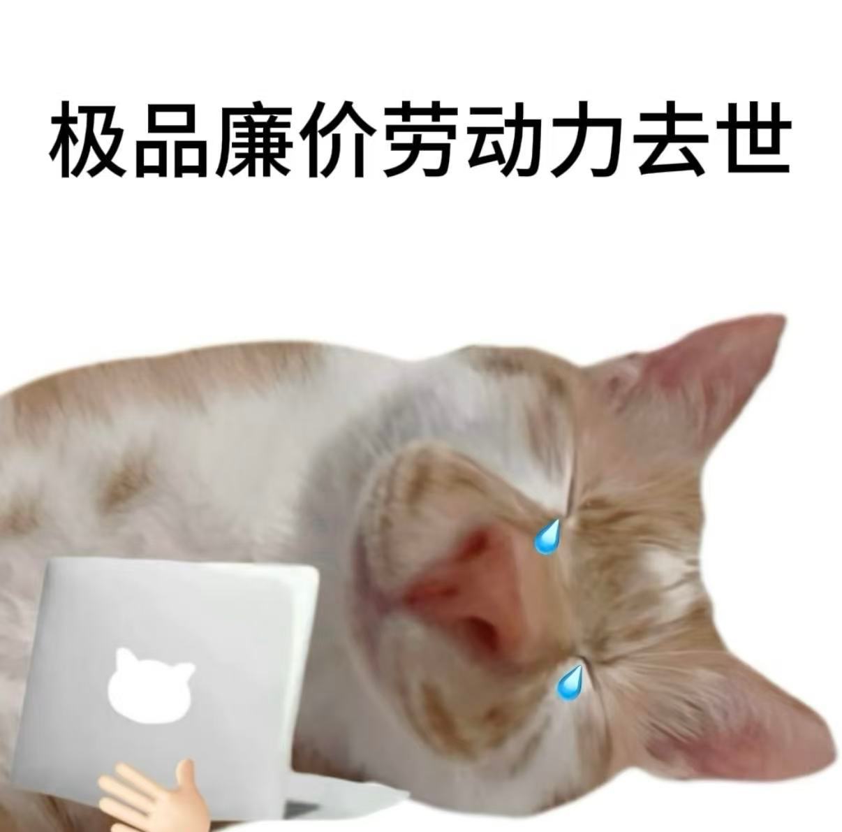 四条腿的牛马三万块，两条腿的牛马三千块。 