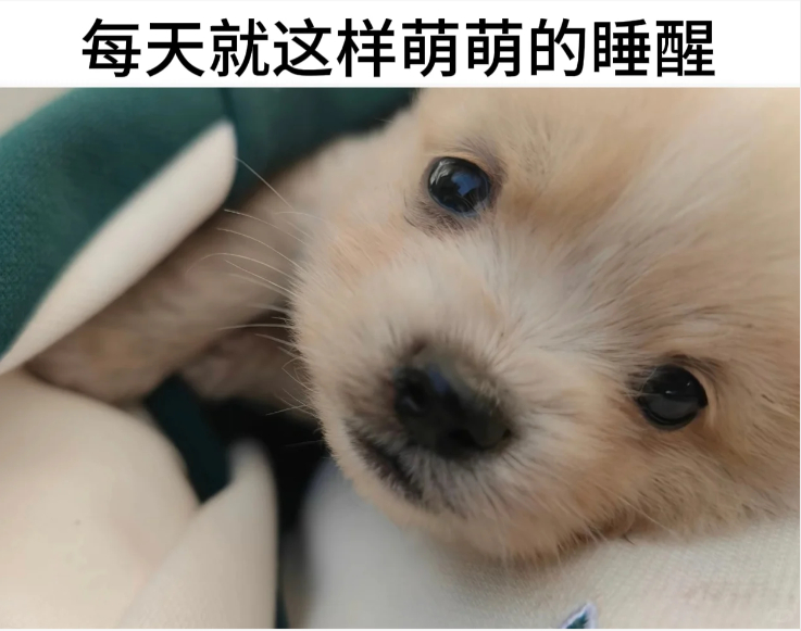 佳愿成真[超话]孙佳俊 九月第一天~​​​