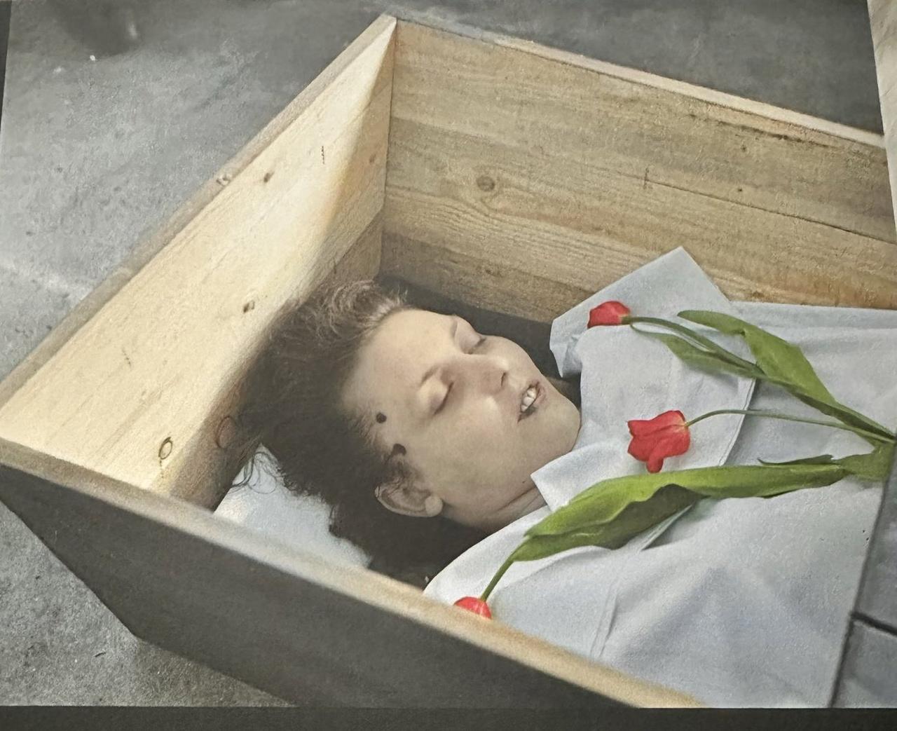 你支持巴勒斯坦我不反对，但是为何要侮辱人家爱国英雄呢？1945年4月10日，荷兰