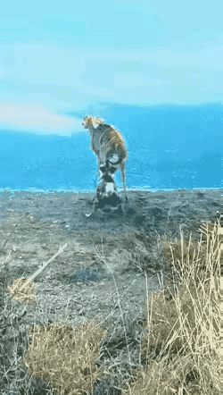 今天的A股看图：
老乡别走哇，水太凉了，而且你销户是不负责任的。