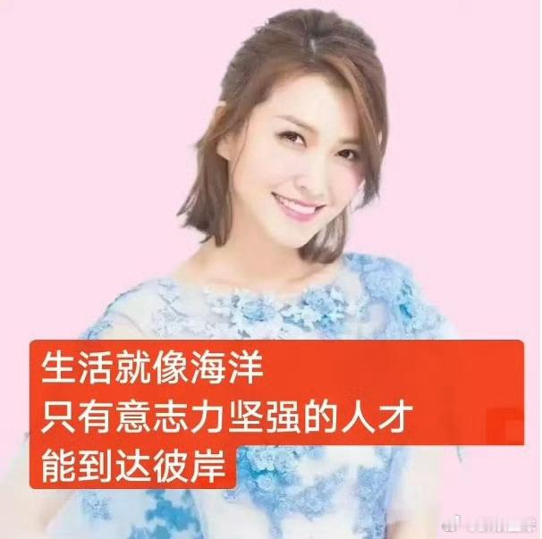 以为我是《乘风2026》vocal担当，结果成了超话表情包担当，这反转绝了。徐洁