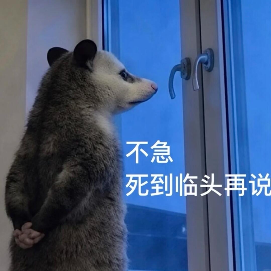 各位尊贵的粉丝宝宝 早安～🫰 现在是2026年6月4日 星期四早上8:00 媚