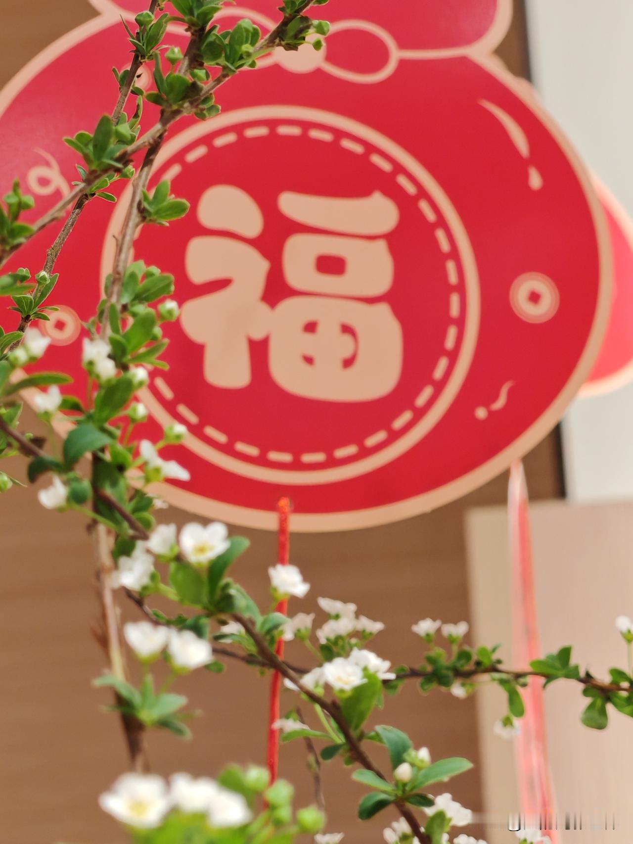 不怕搞事情，过年就是要热热闹闹搞活动！我正在参加天南地北大拜年活动，这活动太香了