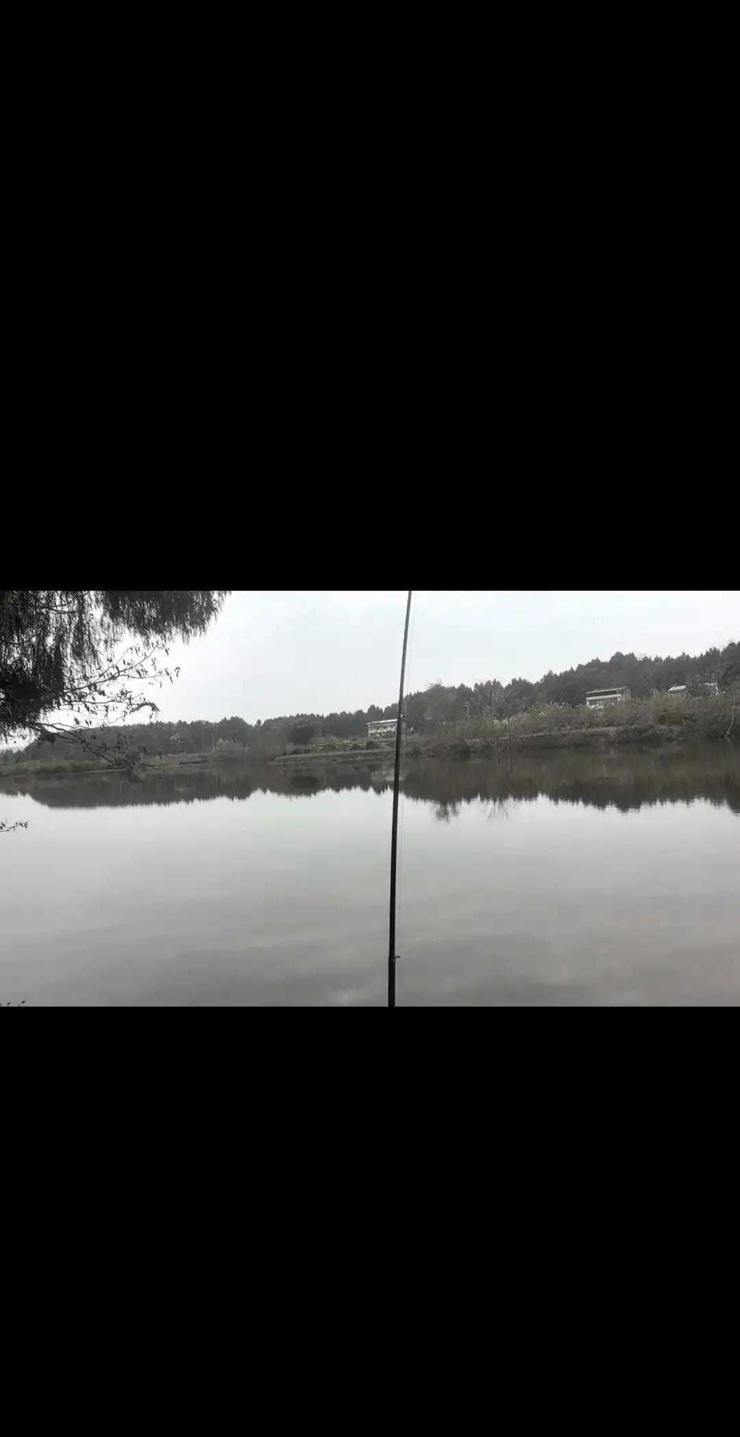 钓不上鱼？别怪技术，规则和鱼群全变了。
 
长江夜钓的人最近发现，巡逻船少了，但