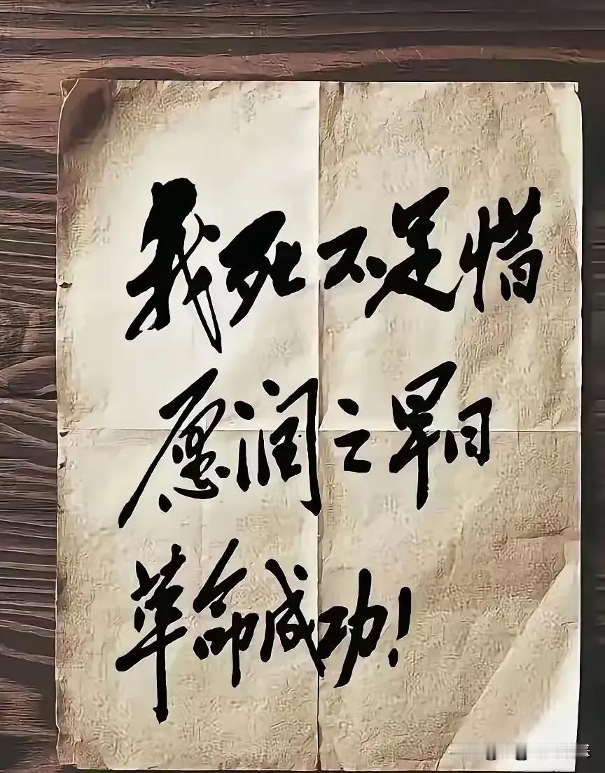 每次看到这张照片和这些文字，心中就会感慨万分，一个不到30岁的女子，却有如此博大