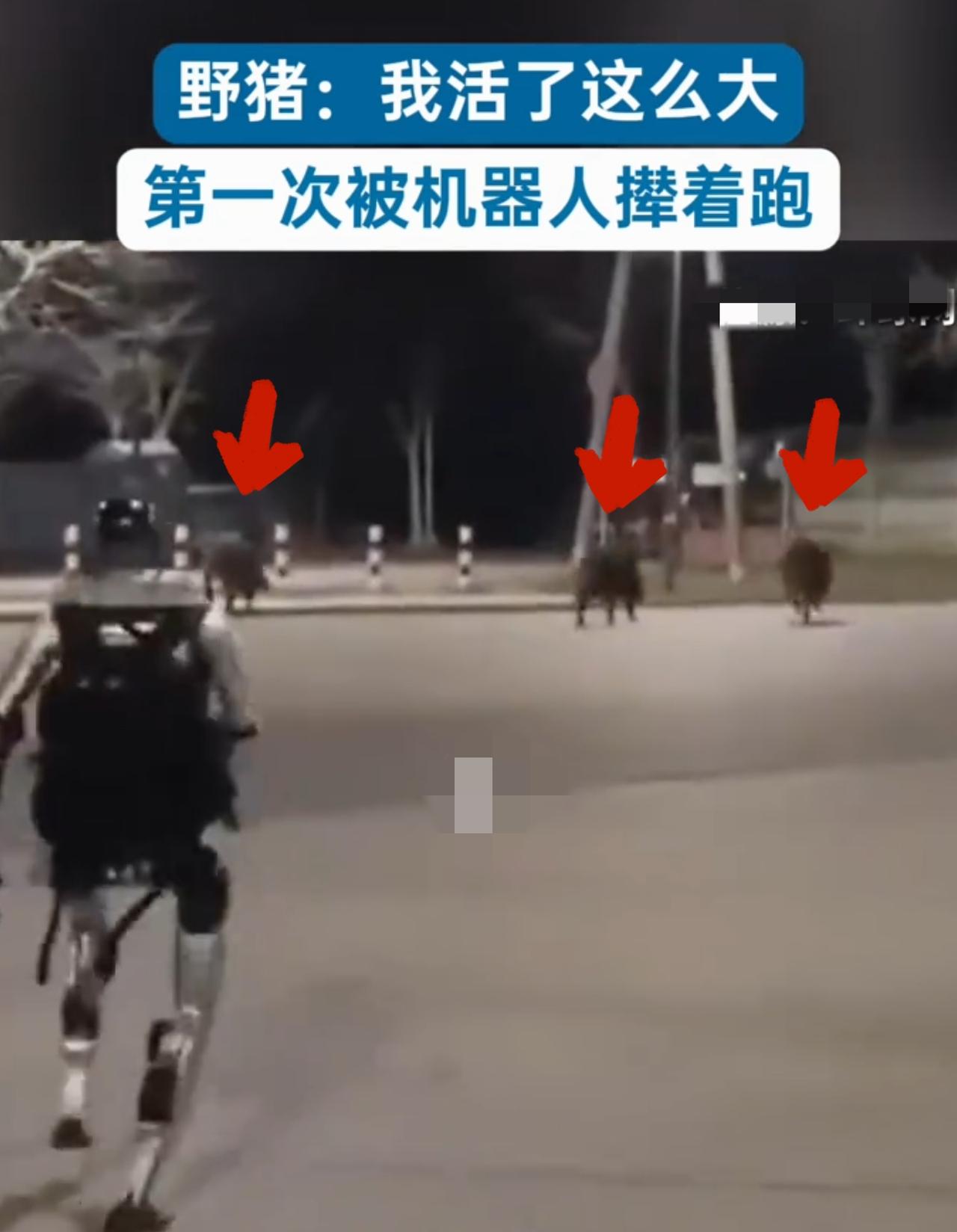 美国波士顿动力机器人，单台动辄数十万甚至上百万，技术顶尖，但长期停留在实验室阶段