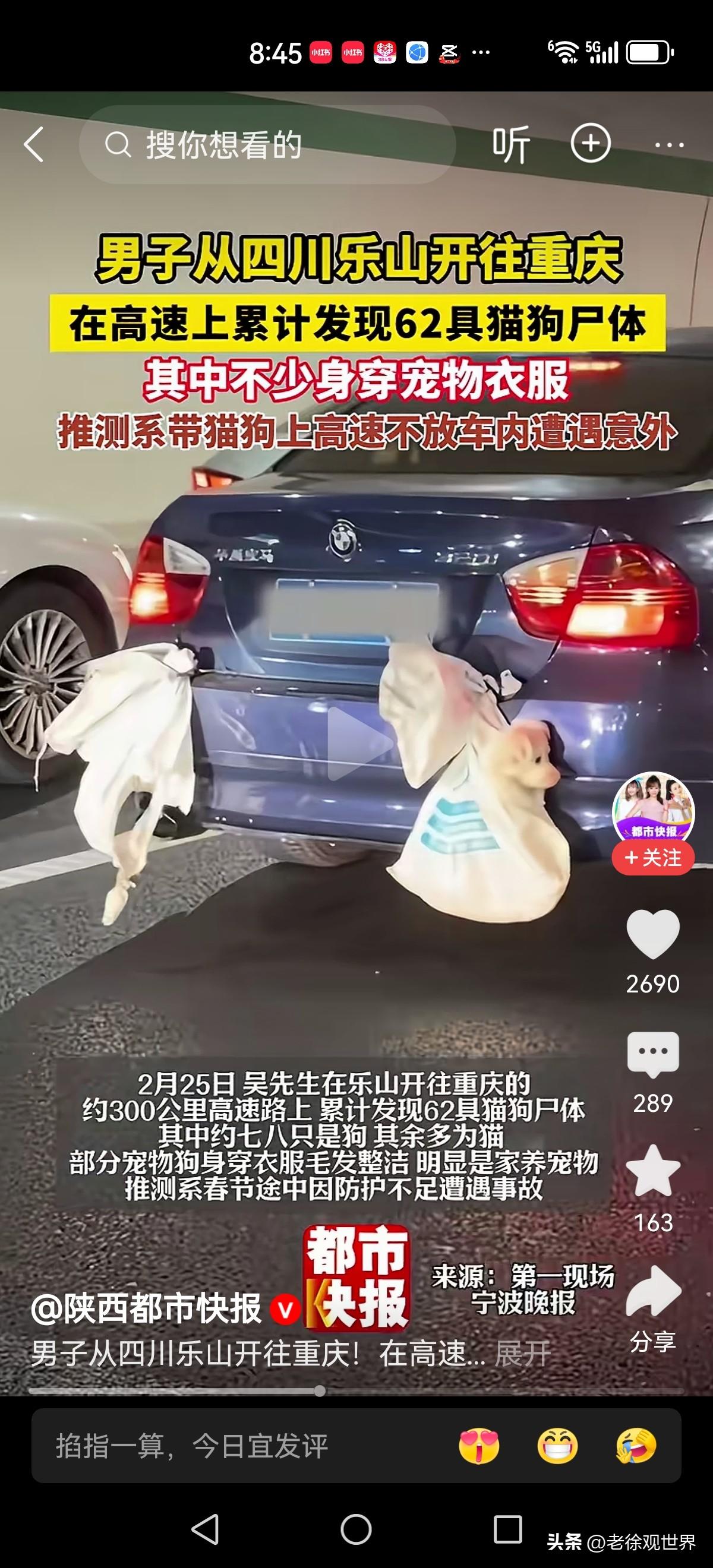 太残忍了！一定要带着猫狗，那就踏踏实实安置在车子里面，哪怕是后备箱也行啊。

如