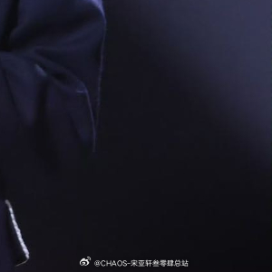 宋亚轩 阳光信用 以热爱祖国为荣、以危害祖国为耻。以服务人民为荣、以背离人民为耻