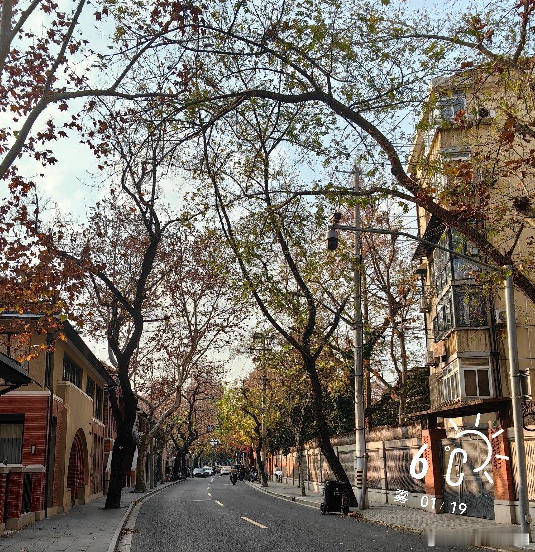 早安          连续三天大雾，要降温了……   