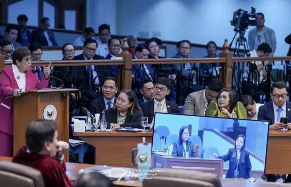菲律宾众议院弹劾检控官、众议员乔尔·楚阿呼吁参议院弹劾法庭不要施加限制，以免阻止
