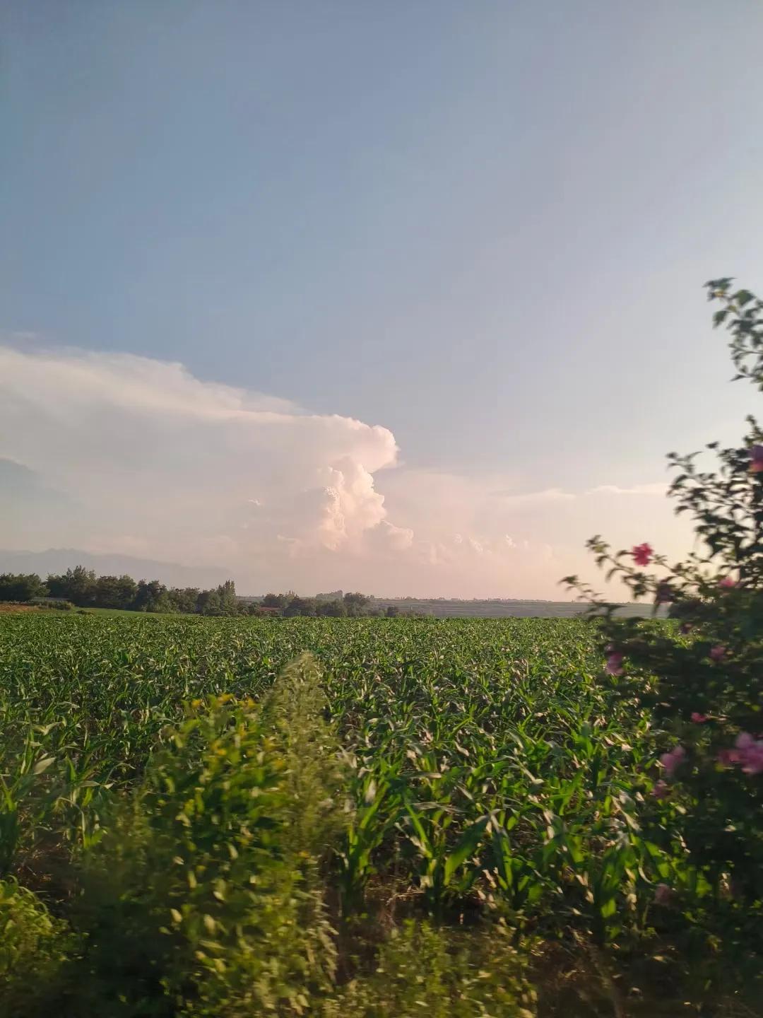 春风，秋雨，冬雪，那夏是什么夏阳