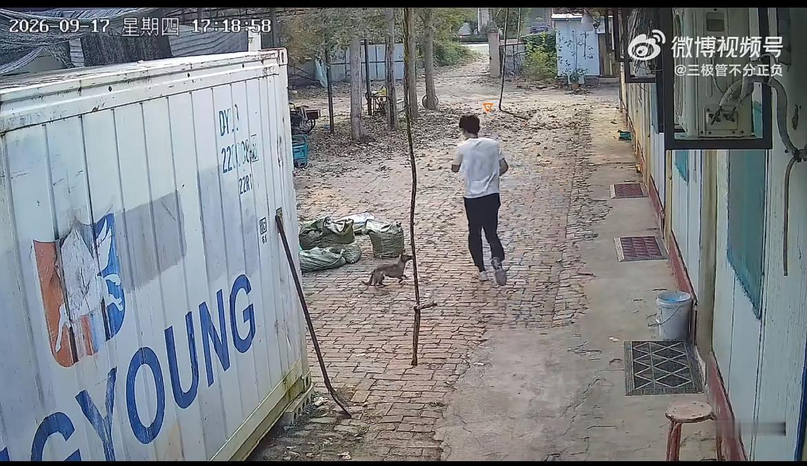 山东某地一男子刚走出家门就遇到一只烈犬的袭击，还好他不是女生，一点不惊慌，连踢数