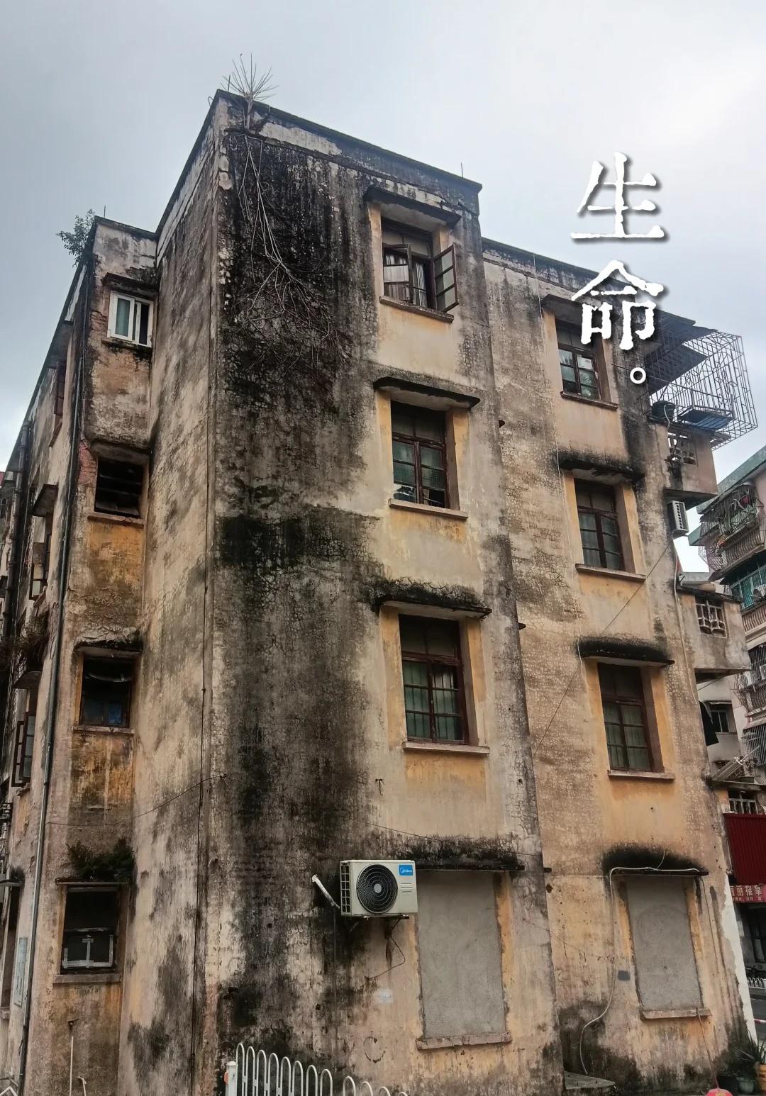 生命不过是一场接一场的告别
曾经要好的朋友随着年岁的增加一个个渐行渐远，一个个无