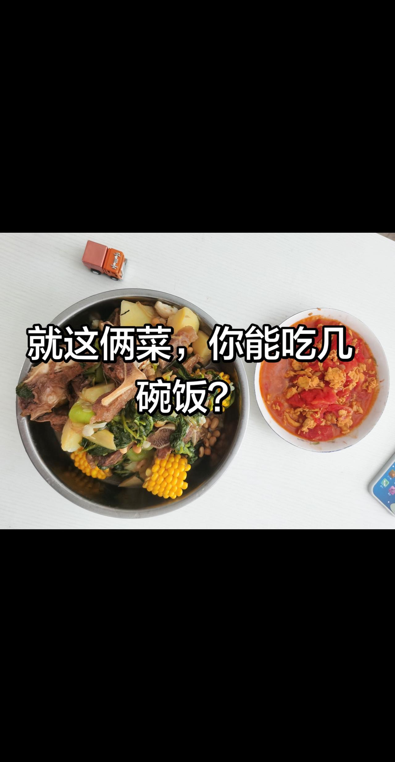 有菜有肉有碳水 土豆炖排骨美食 接地气的饭食 做啥吃啥不挑食