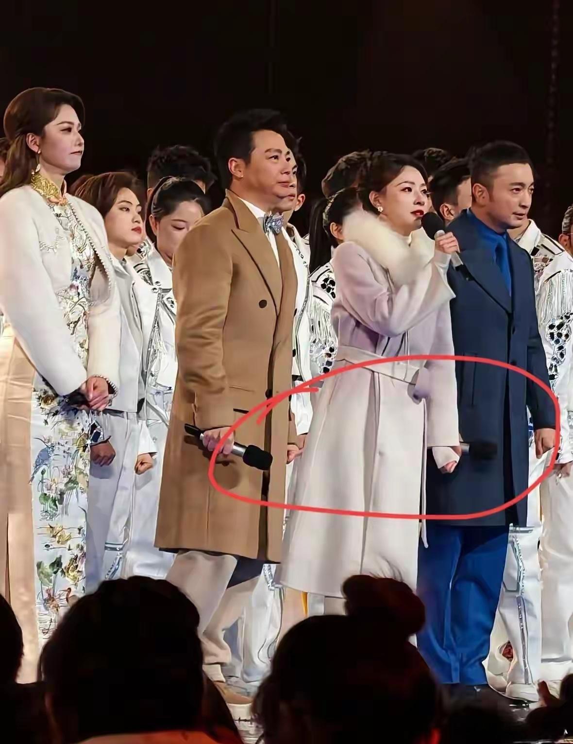 那天晚上北京太冷了，零下十二度，破了十年纪录。央视跨年晚会偏偏设在户外。你看主持