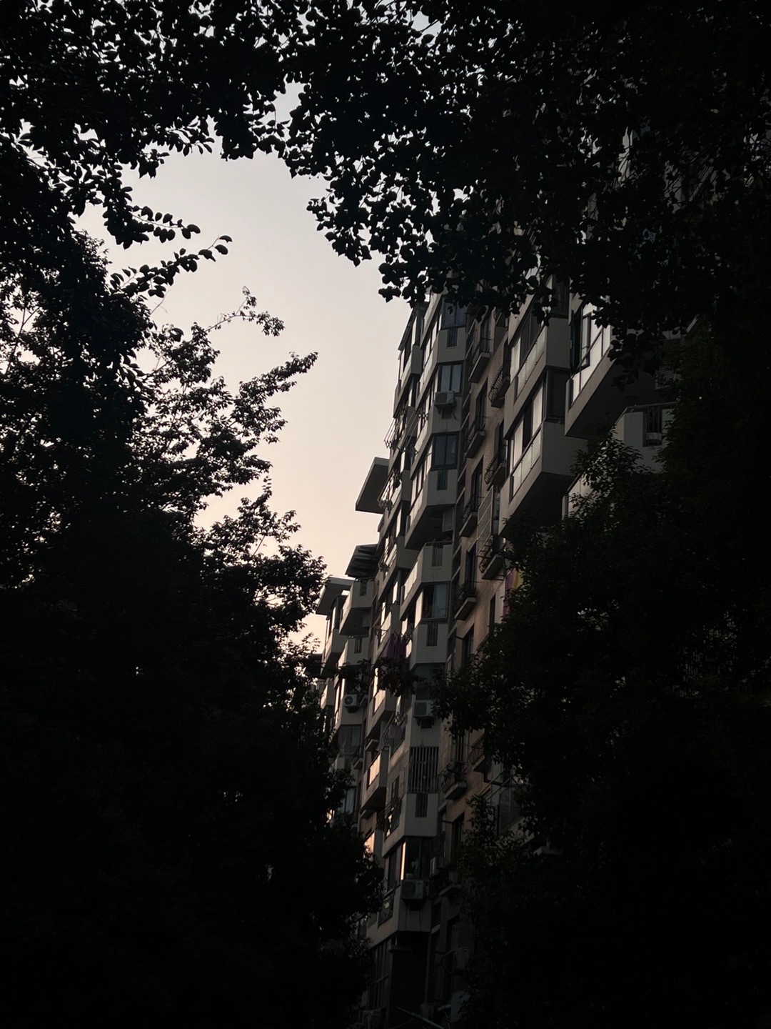 少说一点 ​​​