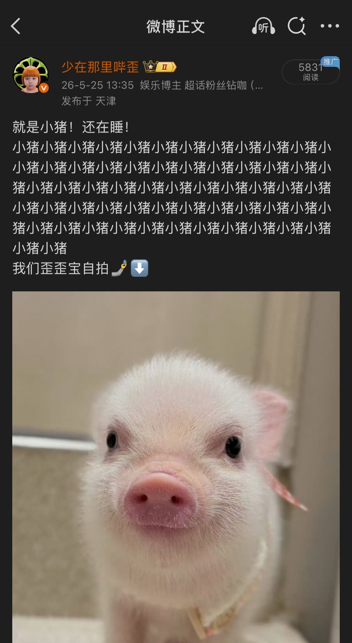 抵制猪塑…