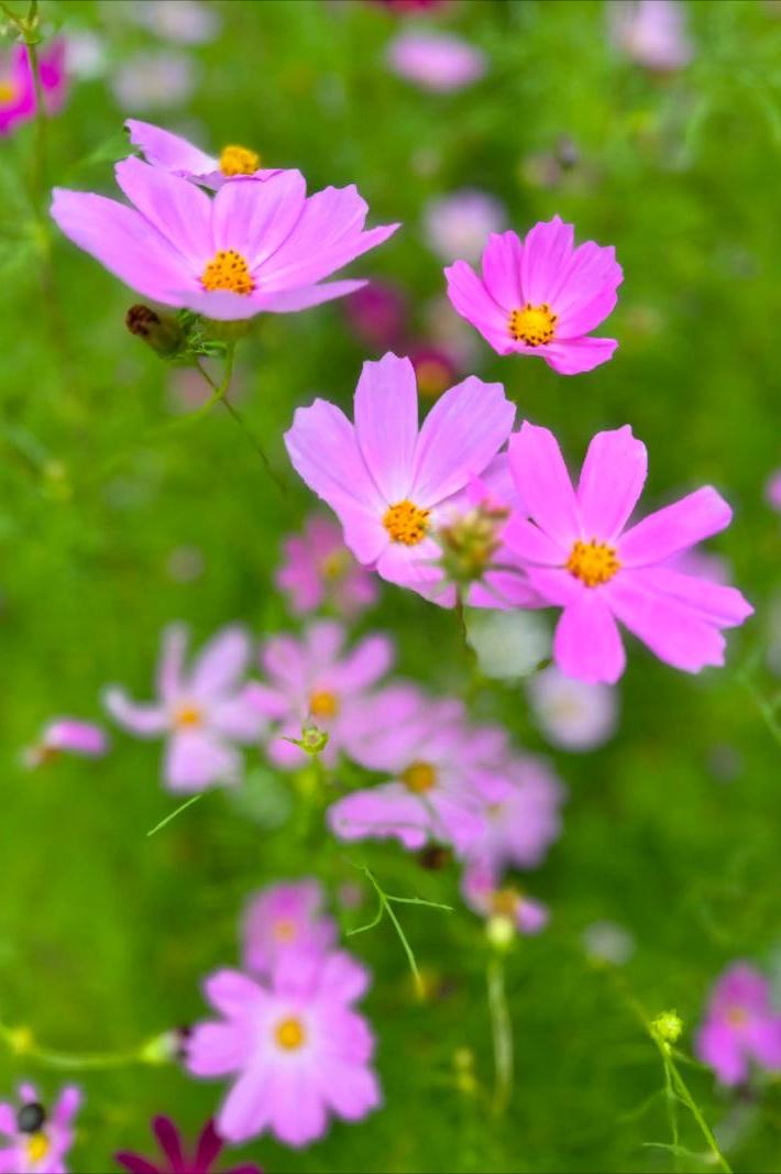 中年女人最幸福的时刻：
无所事事，
没人打扰，
想吃就吃，
睡到自然醒！
这才是