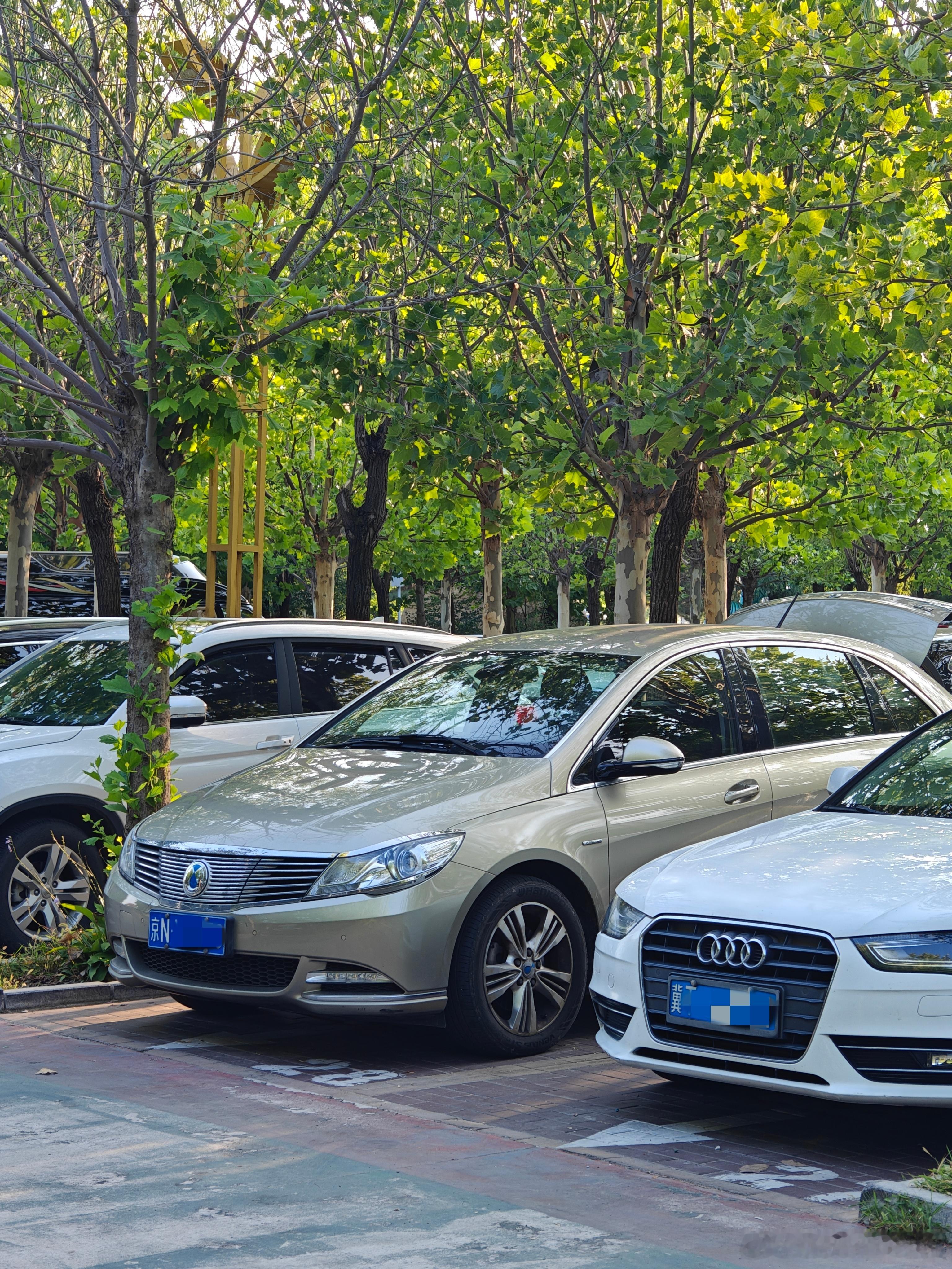 蓝牌腾势什么段位？名字就是品牌名的车可不多见[笑而不语]#腾势##我与汽车的日常