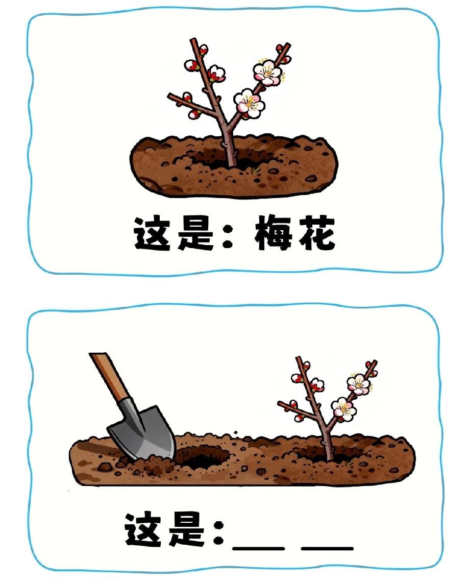 现在的题都这么秀？梅花加把铲子，这答案绝对是脑洞王者专属，你能想到吗？