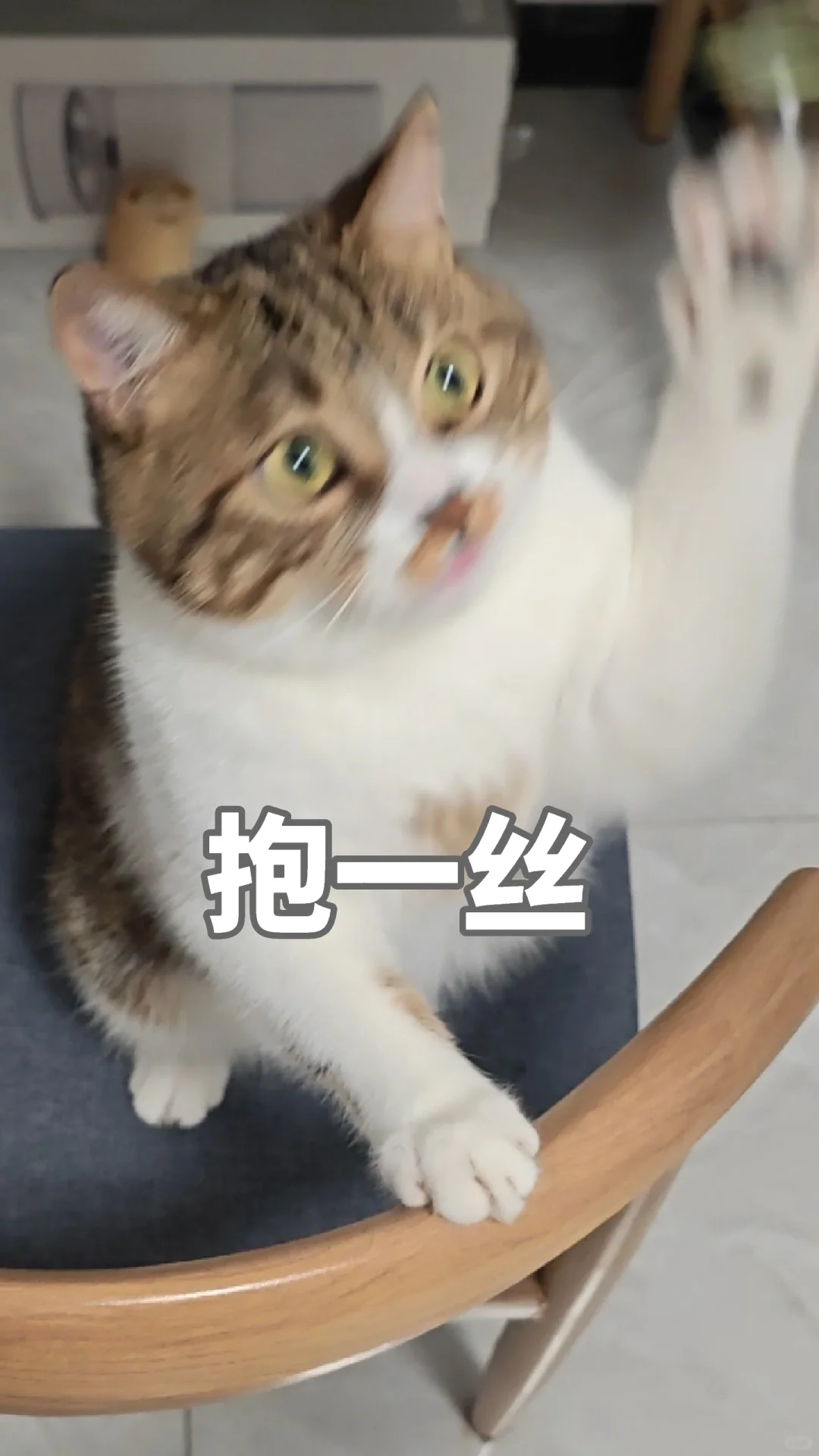 着急表白只画了一边眉毛