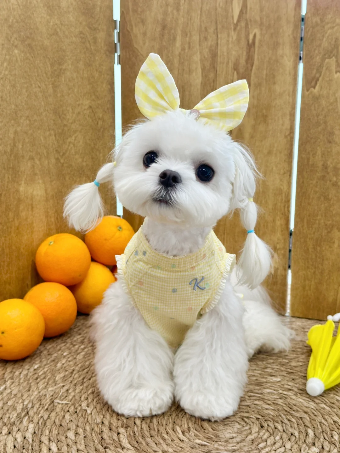 猜猜是弟弟还是妹妹