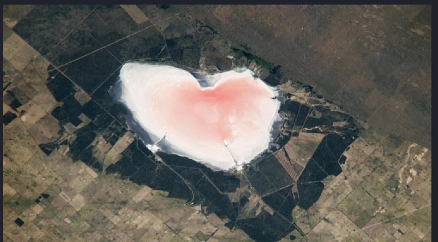美国国家航空航天局（NASA）发布的一张粉红色心形盐湖照片，成了情人节专用卡片。