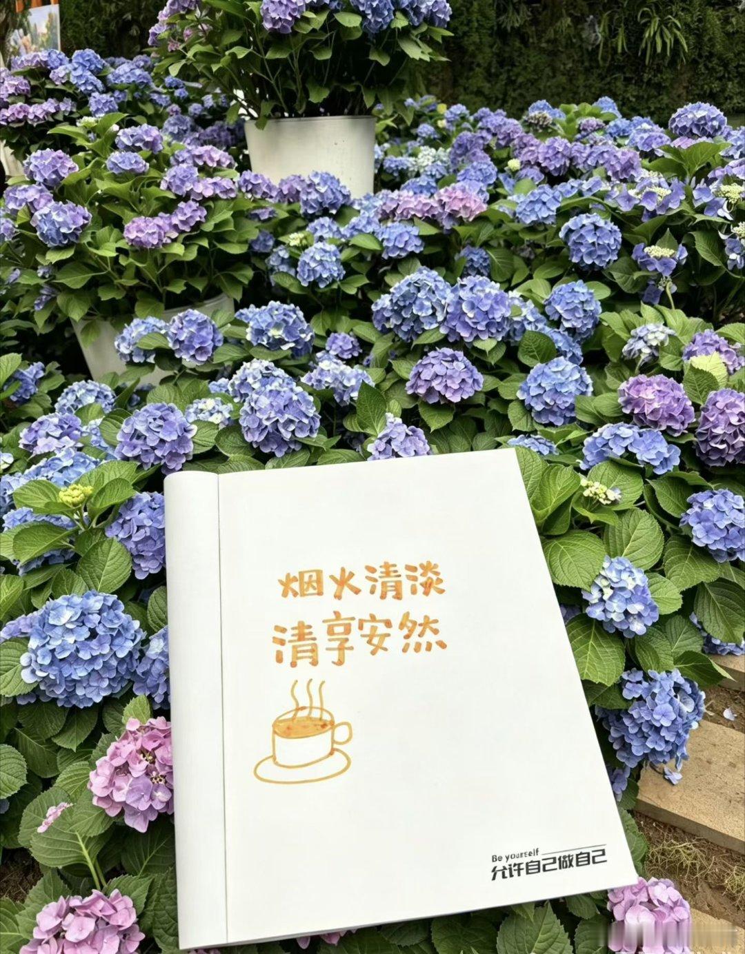 哲思呓语 人与人之间的差距，从来不是出身和天赋，而是认知。江南微评江南评说我的日