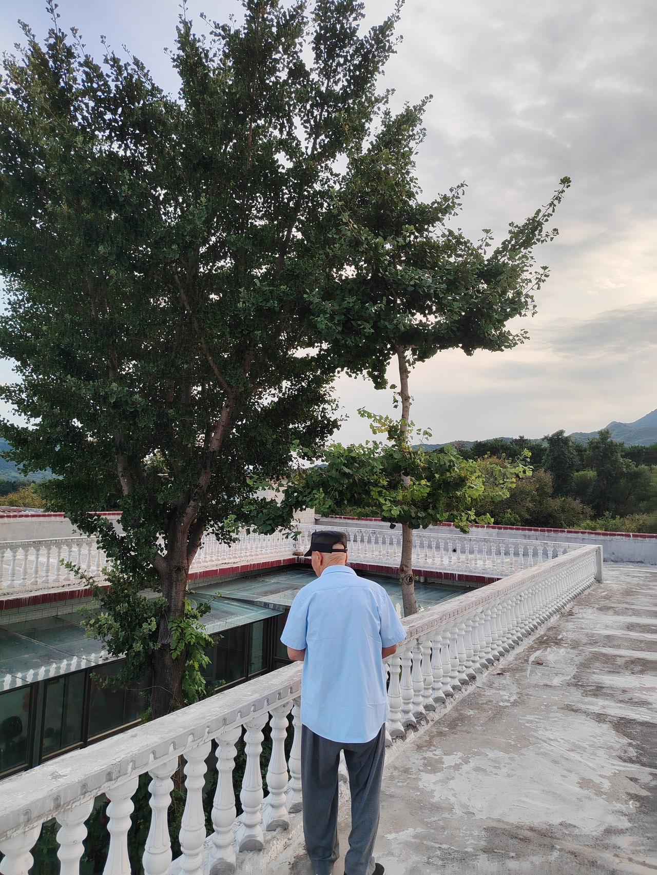 晒图笔记大赛过往的遗憾，就让它随夏夜的晚风飘散；当下的美好，正以蝉鸣为序，悄然铺
