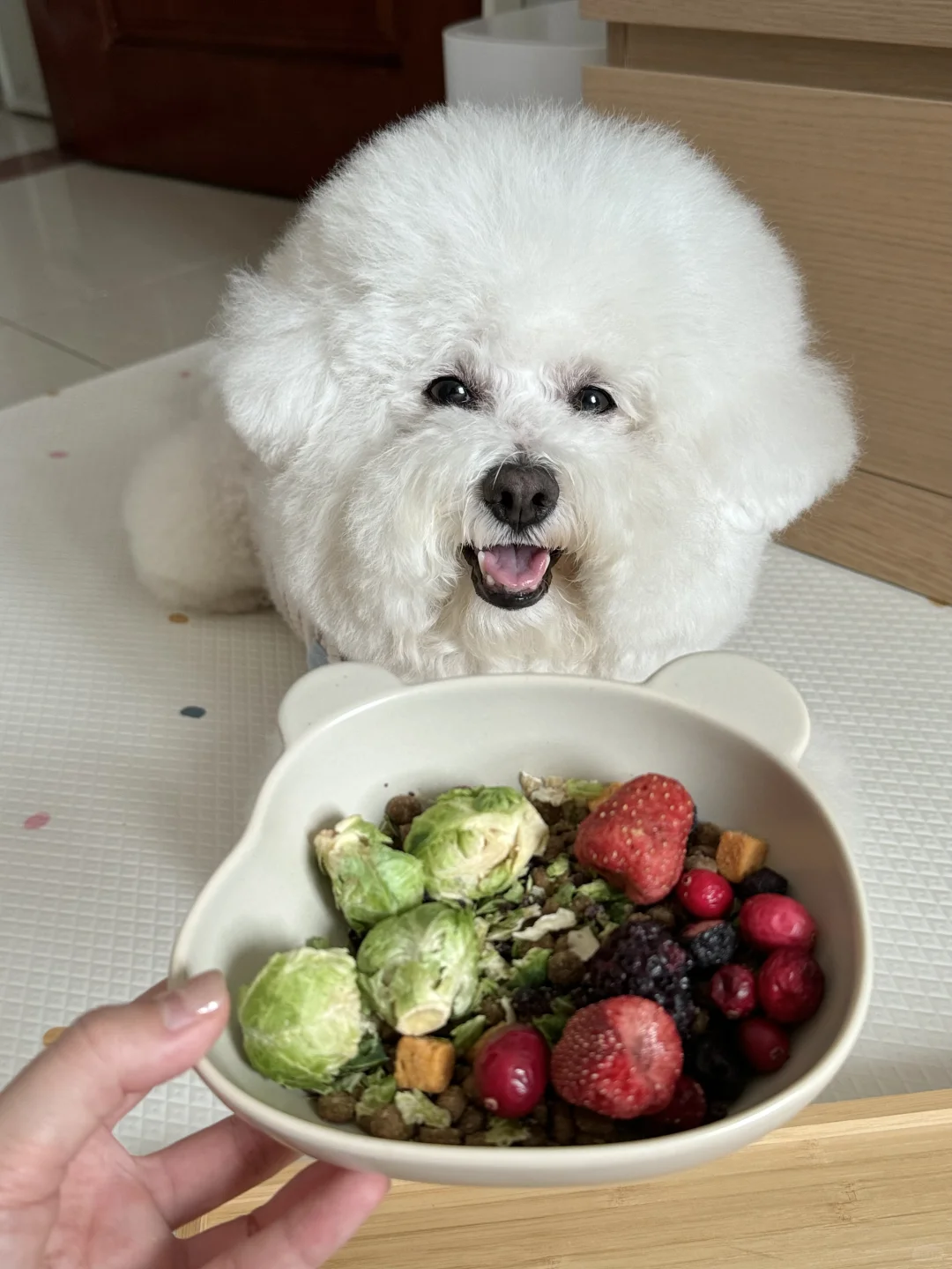 养生小狗也吃上超级食物啦