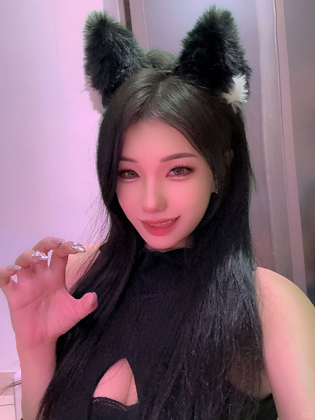 做你的猫猫
