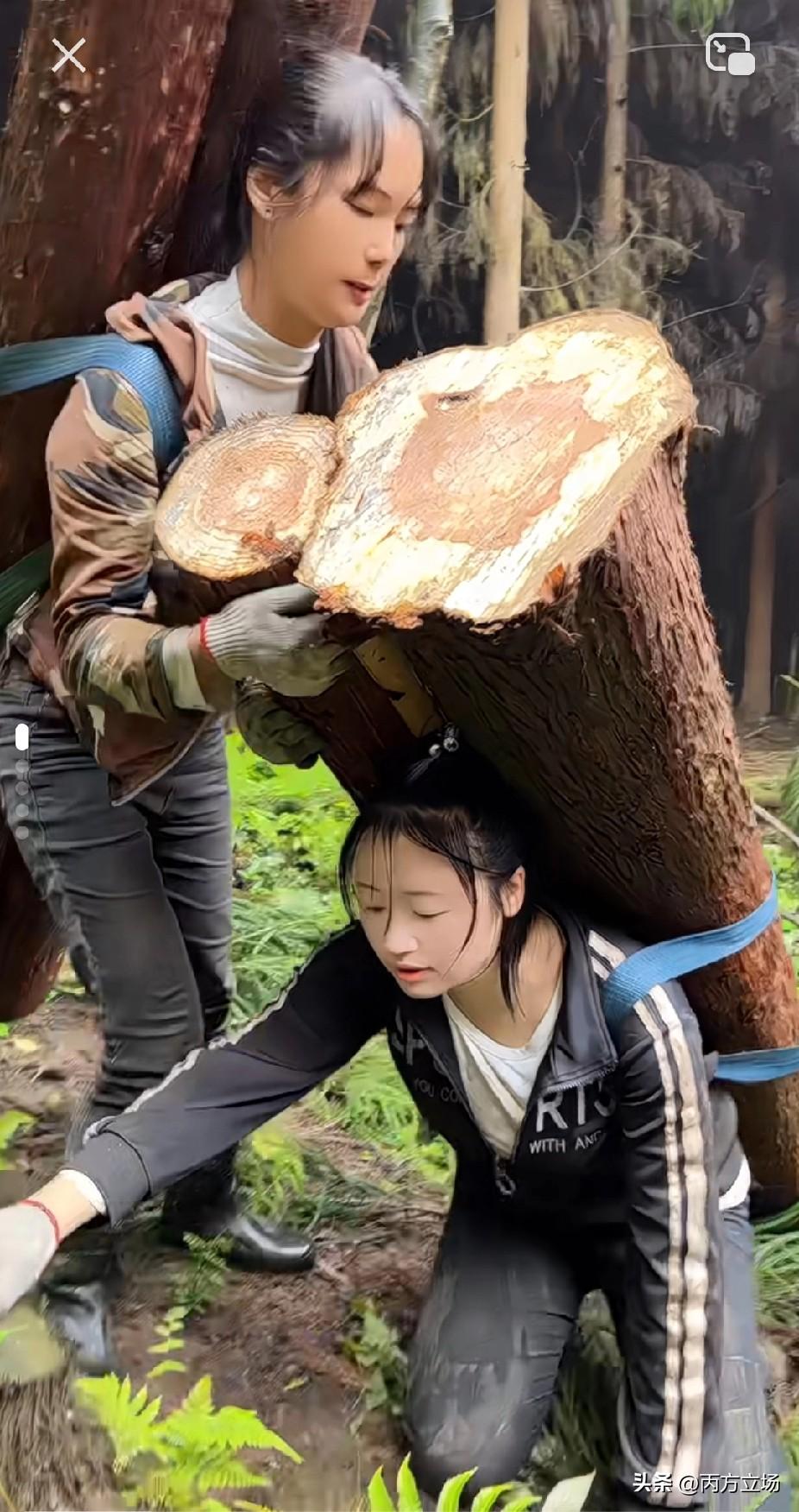 大山里的姑娘，真是铁打的！看她瘦瘦小小的，肩上压着两根比她腰还粗的木头，一步一步
