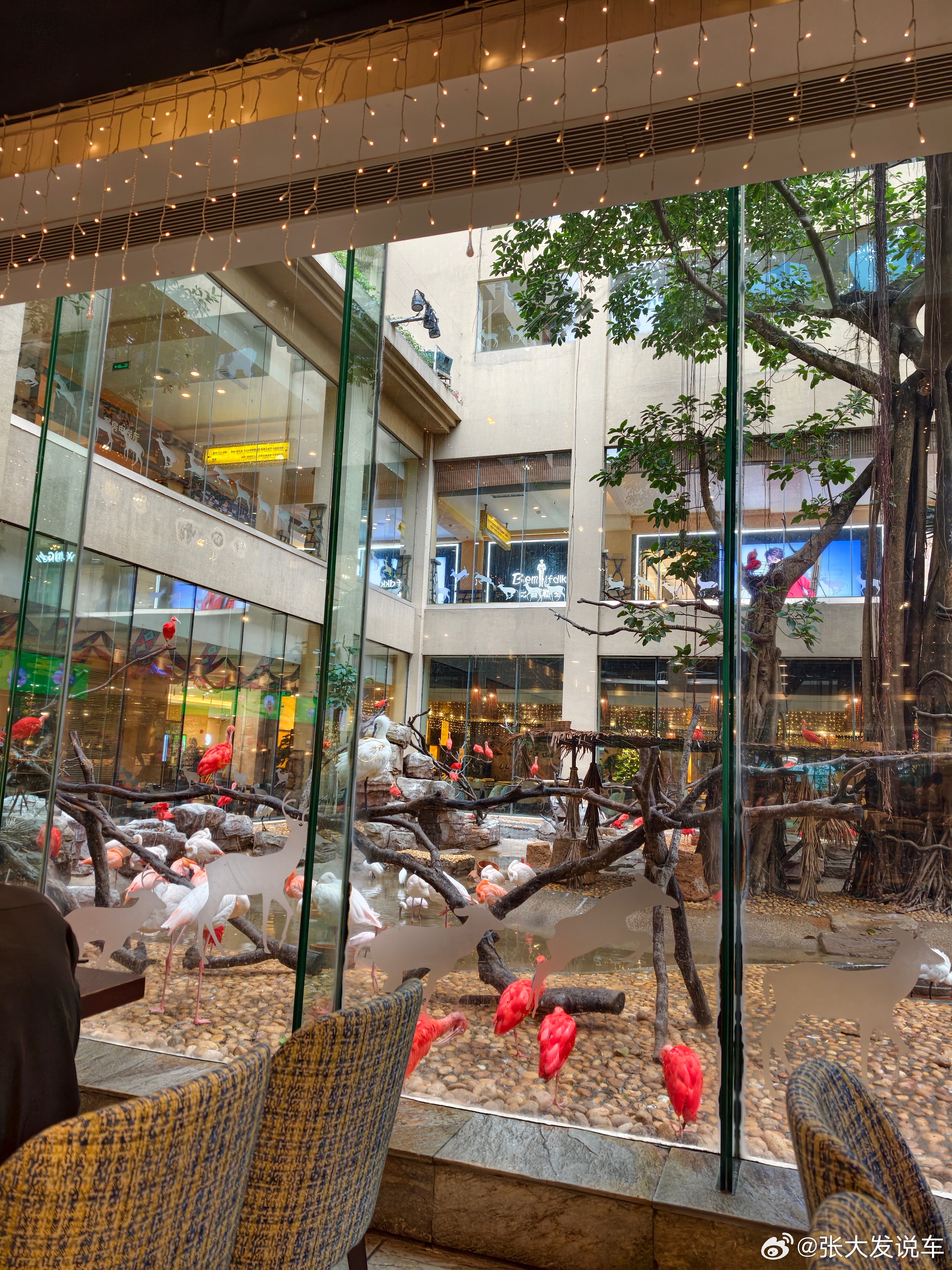 到广州了晚上7点日产N8X预售发布一起期待一下价格这回酒店安排的酒店有点意思长隆